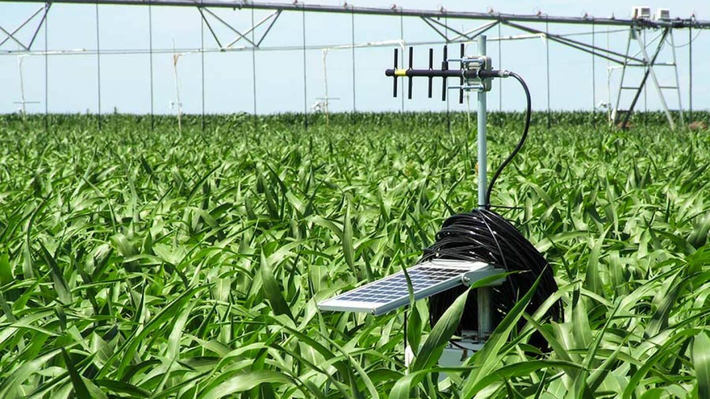Climate Change Corn How US Corn Farmers Adapted to Climate Change - AIP.ORG
