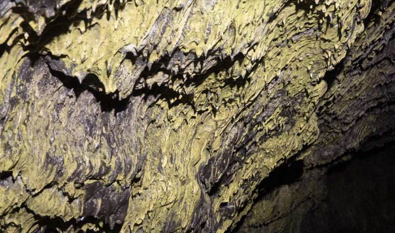 Life in Lava Caves Ignores Food from the Surface, Eats Rock Instead lead image