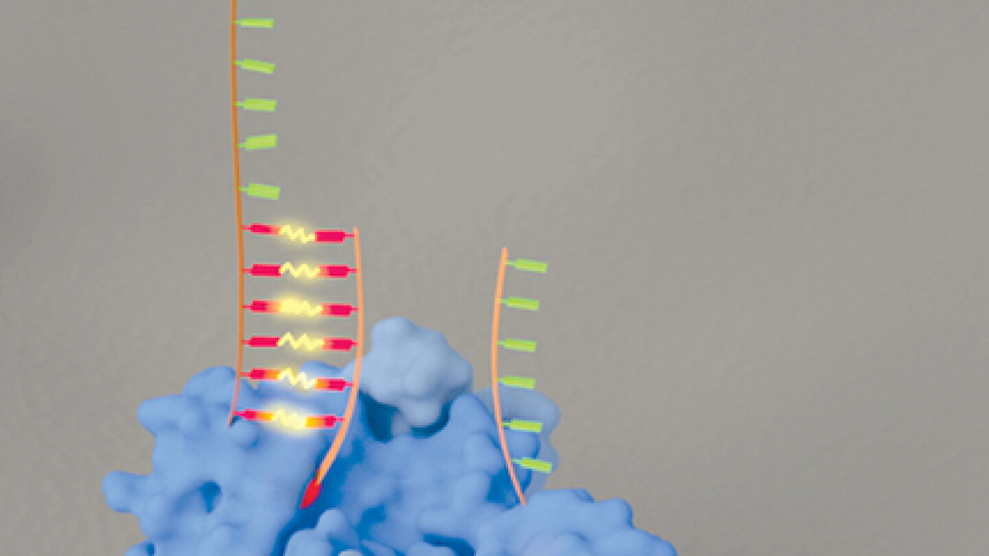 Dangling DNA pinpoints a protein’s chemical groups - Physics Today