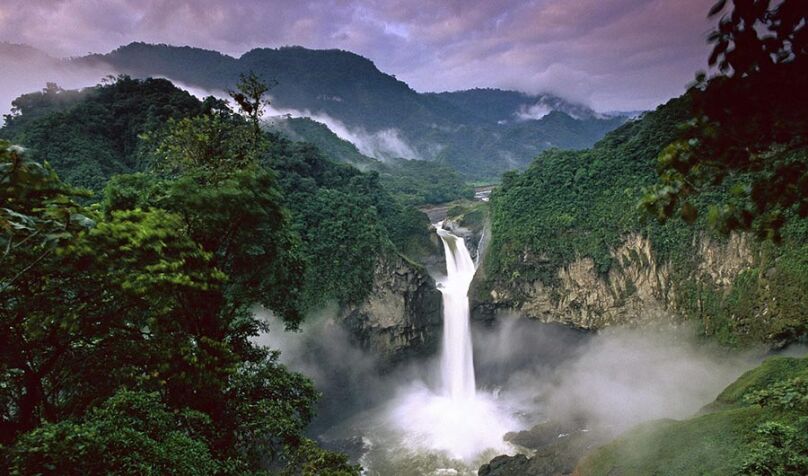 Explaining Tropical Forests' Astonishing Biodiversity lead image