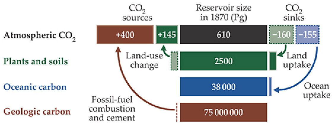 The carbon cycle in a changing climate - Physics Today