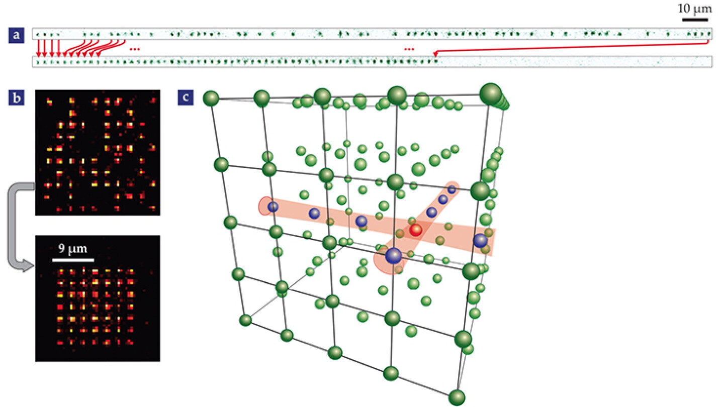Quantum computing with neutral atoms - Physics Today