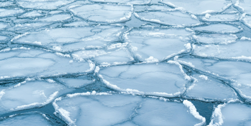 Salt Loss Dictates Sea-Ice Structure disp image