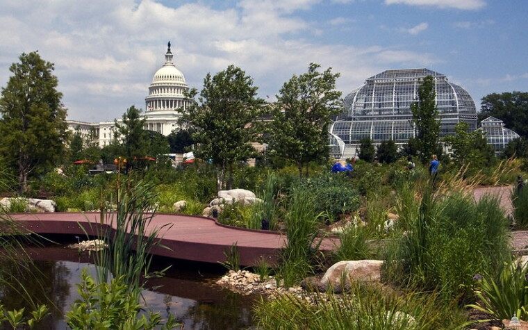 A view of the U.S. Botanic Garden with lush green plants and the Capitol building in the background