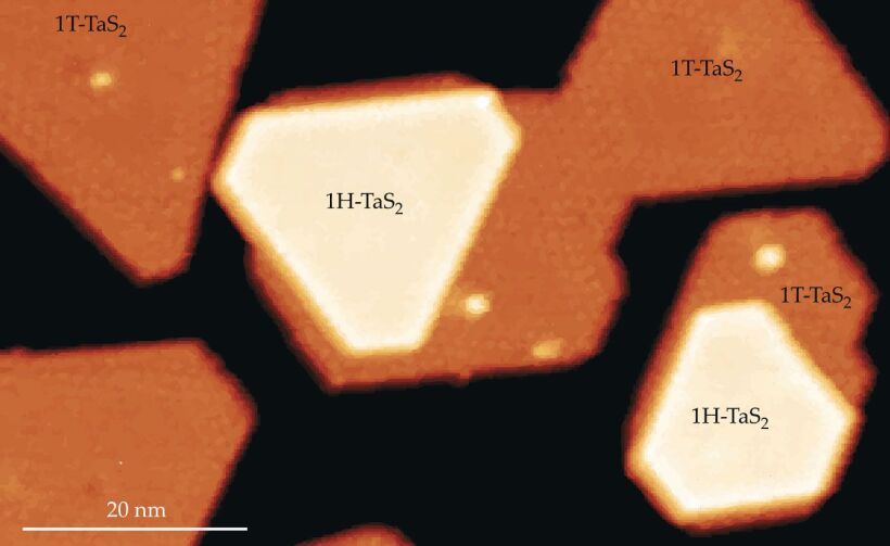 PTO.v75.i2.16_1.f1.jpg