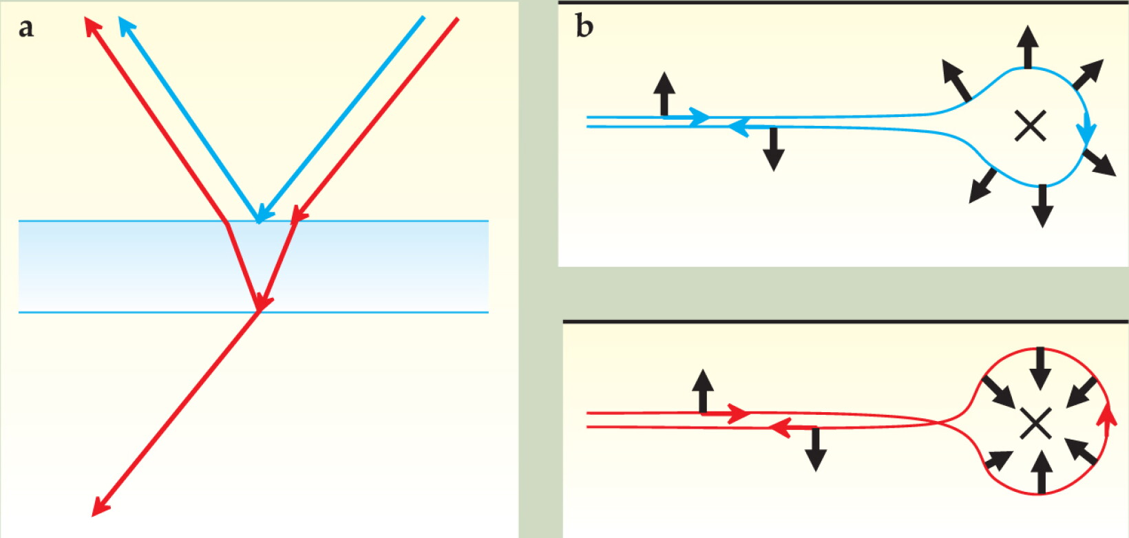 The quantum spin Hall effect and topological insulators - Physics Today