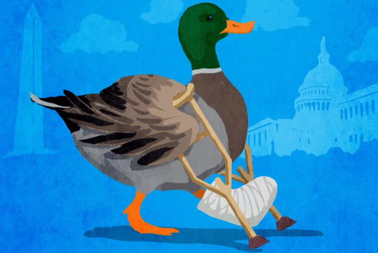Lame Duck