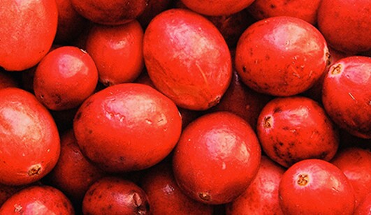 Cranberries Stop Bacteria In Their Tracks lead image