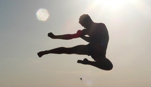 What Physics Can Tell Us About Martial Arts lead image