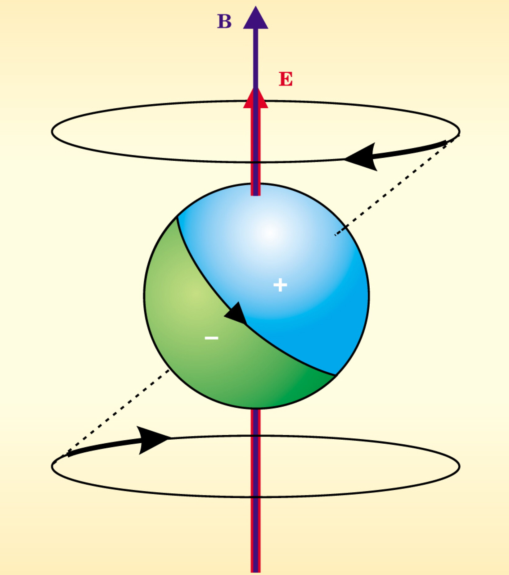 The Search for a Permanent Electric Dipole Moment - Physics Today