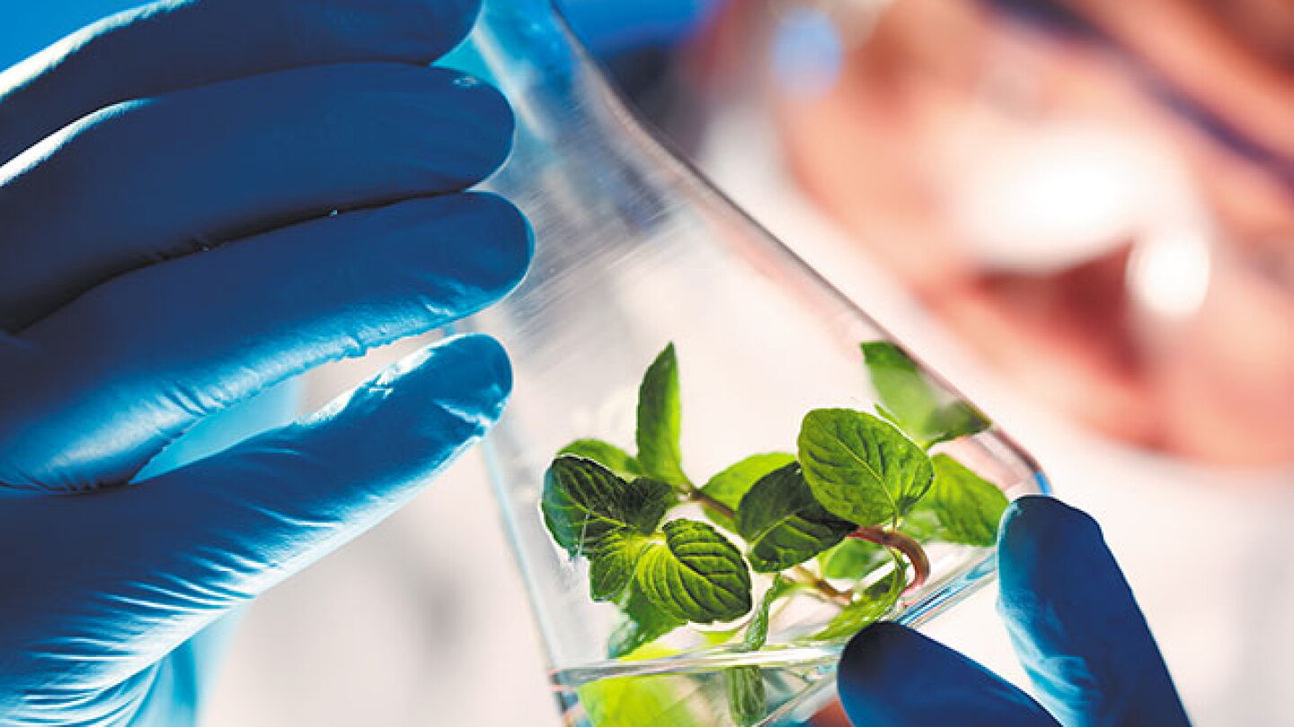 The not-so-secret science ecosystem - Physics Today