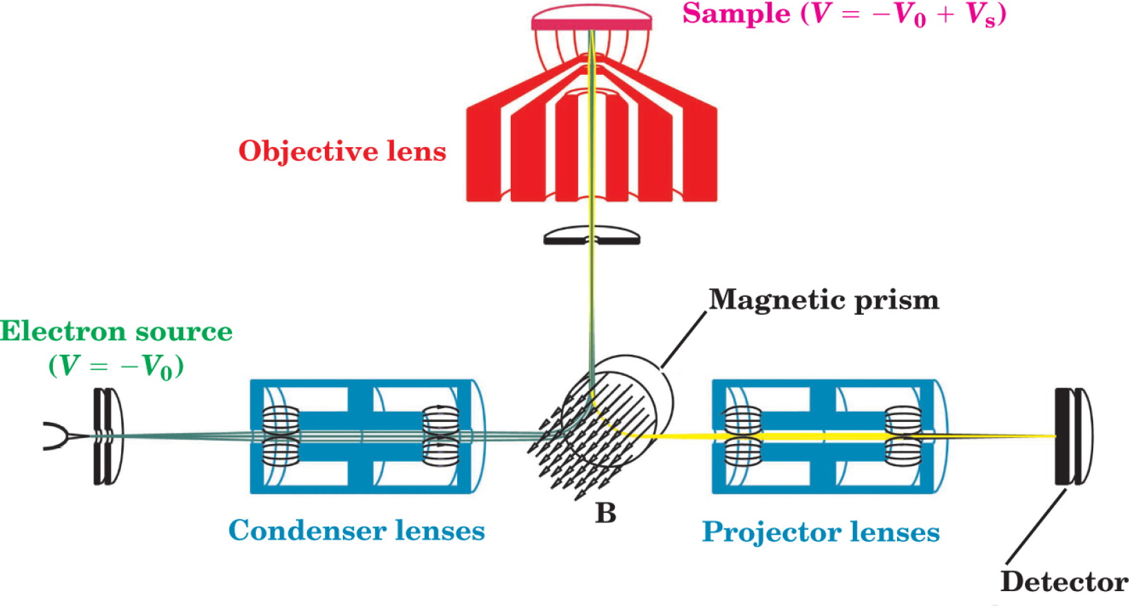 Low-Energy Electron Microscopy: Imaging Surface Dynamics - Physics Today