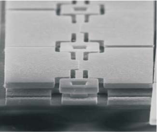 PTO.v62.i5.62_1.d2.jpg