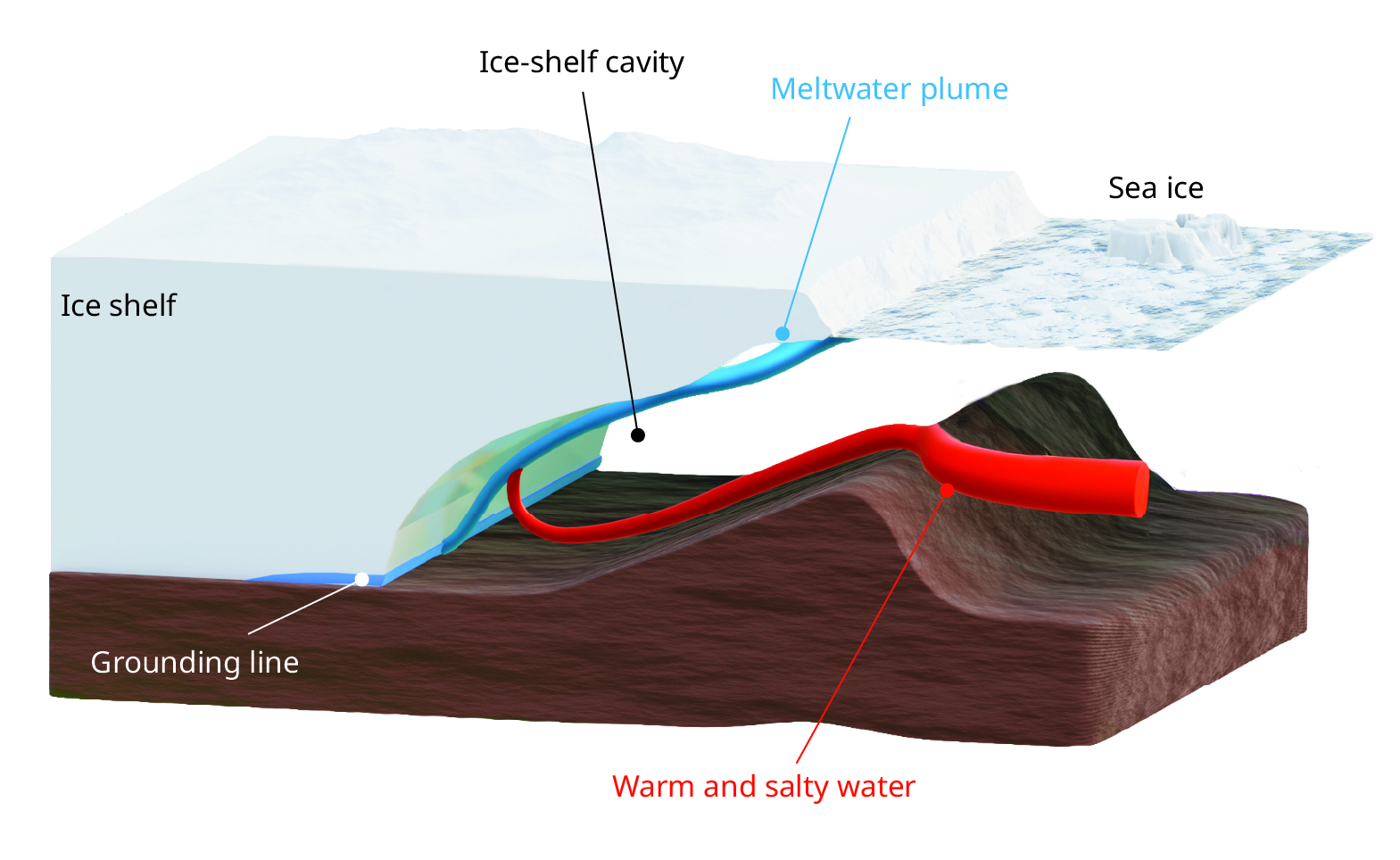 An ice shelf meets the ocean. The ice shelf is at top left in white, and the ocean floor is at bottom in brown. Floating sea ice is at top right. A tube of red indicates warm and salty water meeting a meltwater plume, in blue, rising along the base of the ice shelf.