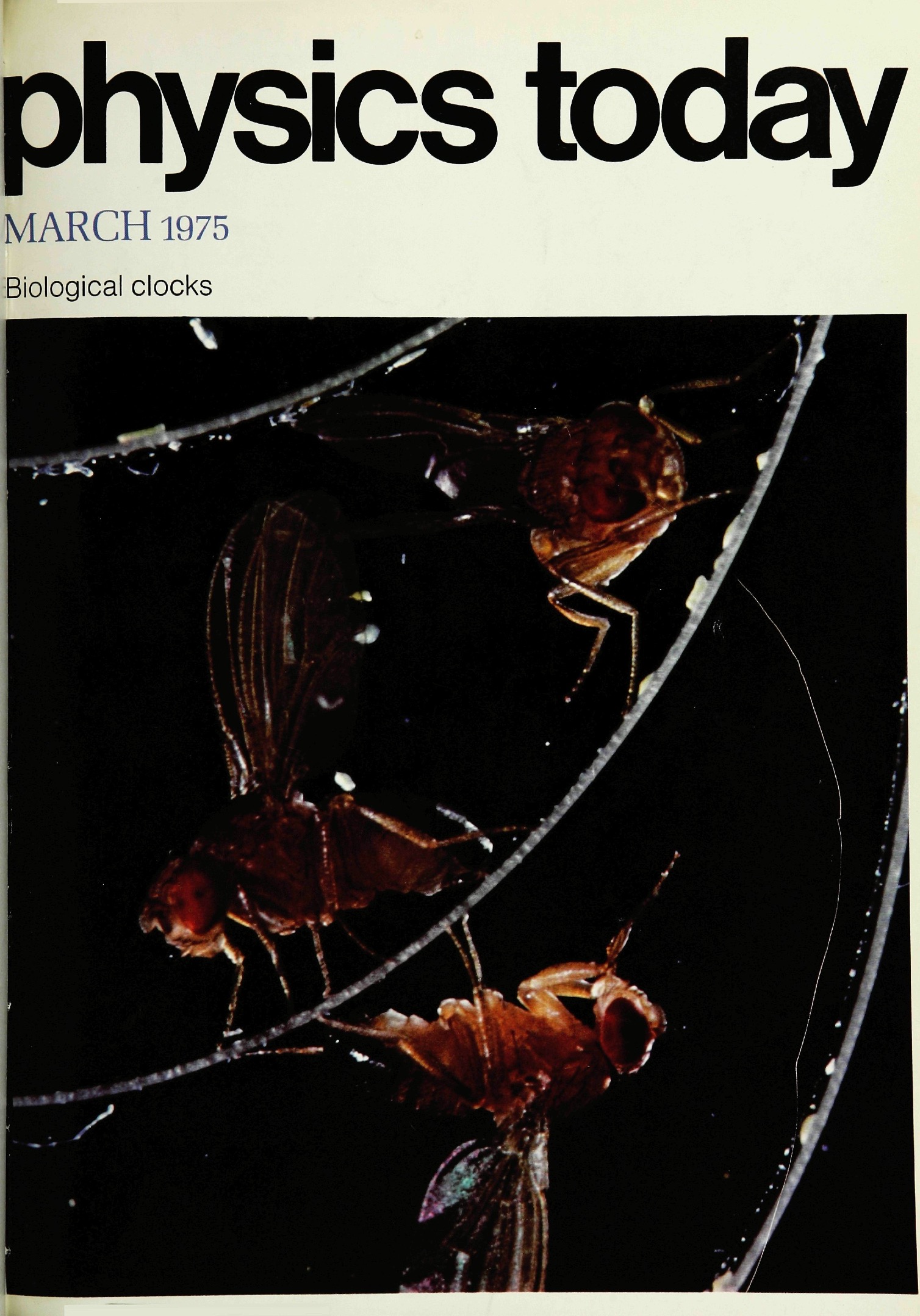 pt-cover_1975_03.jpeg