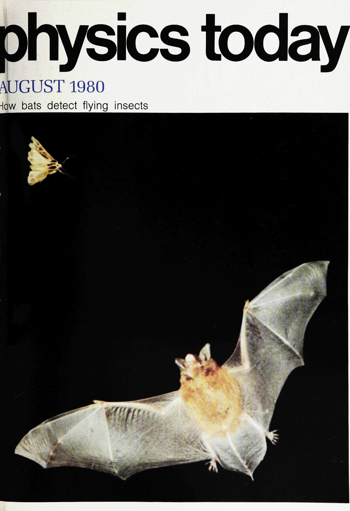 pt-cover_1980_08.jpeg