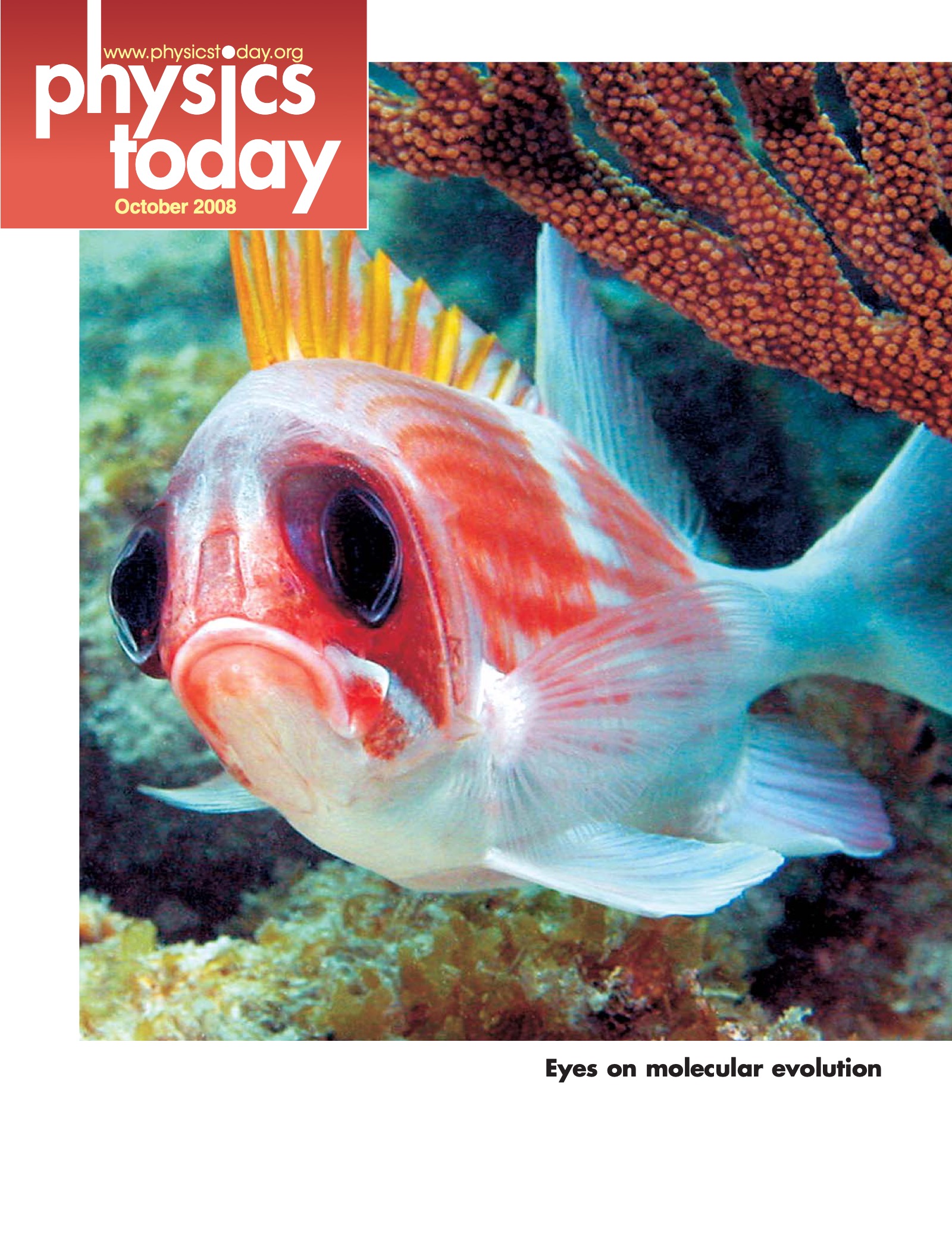 pt-cover_2008_10.jpeg
