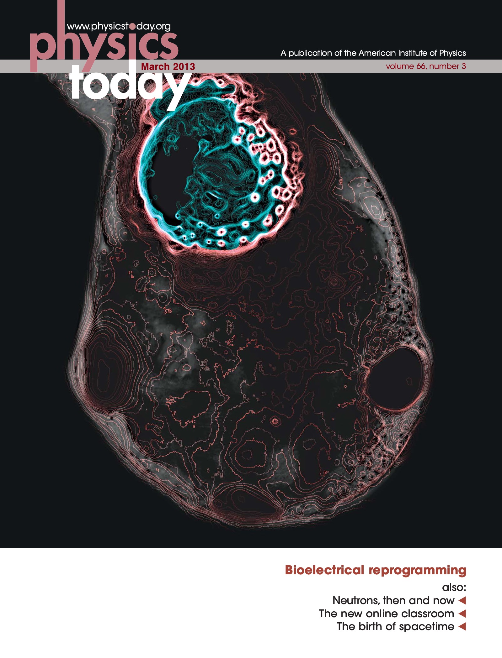 pt-cover_2013_03.jpeg