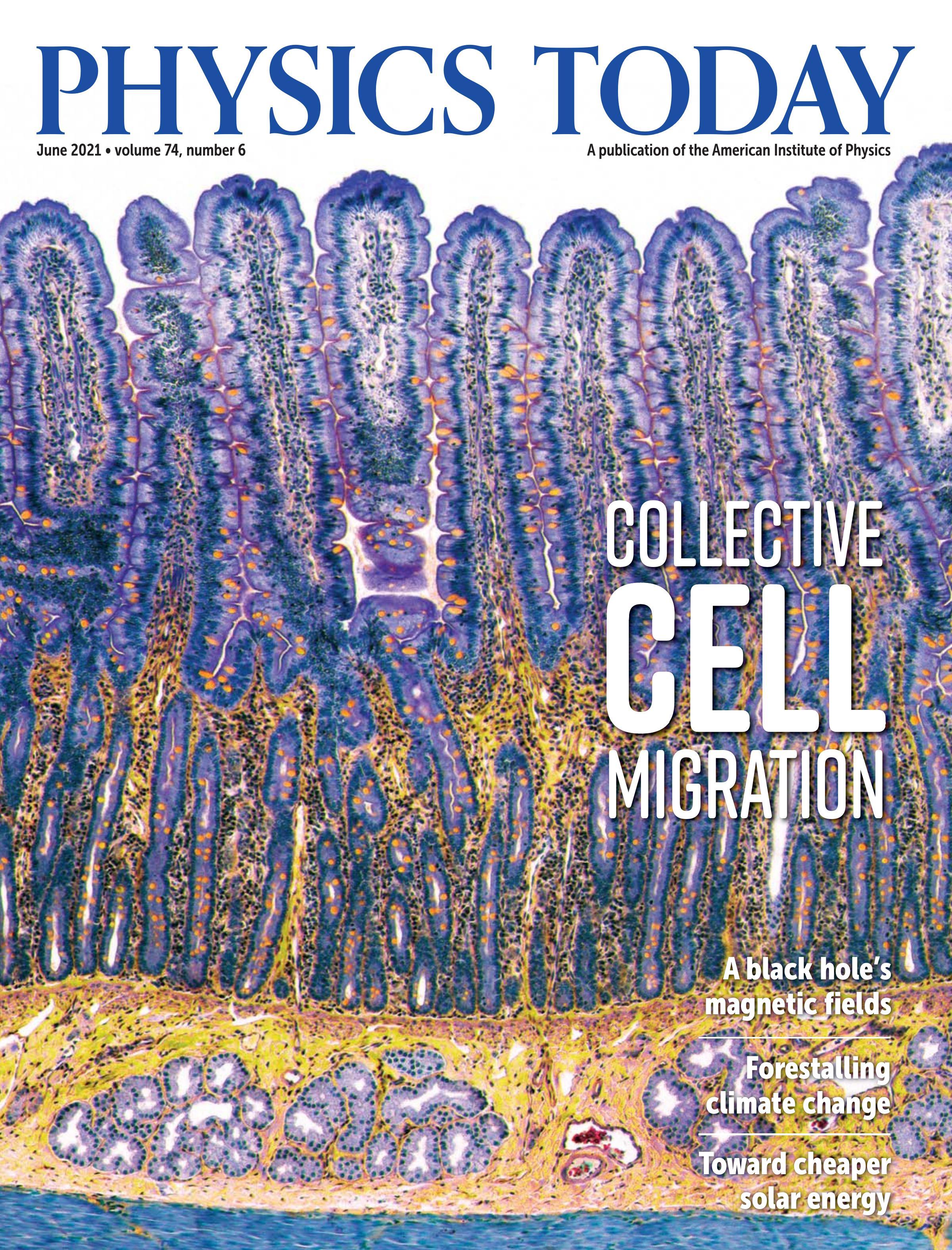 pt_cover0621_no_label.jpg